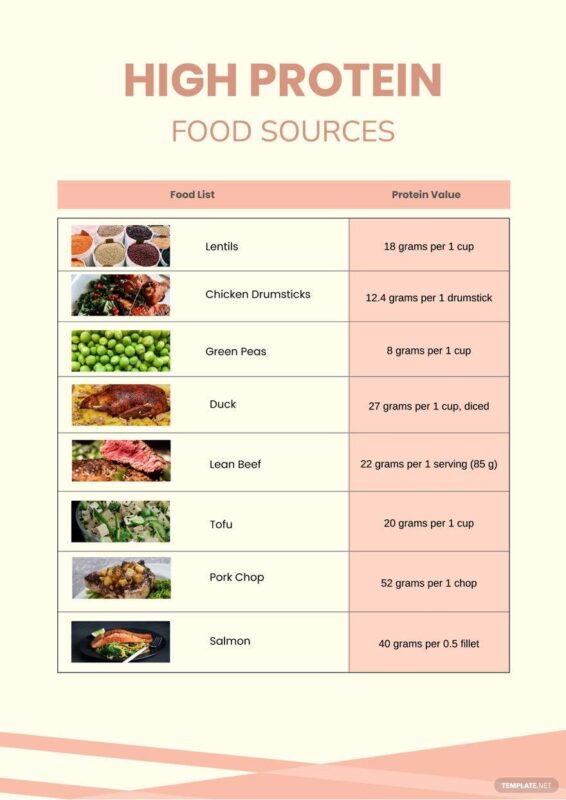 Free High Protein Food Chart - Illustrator, Pdf | Template.Net