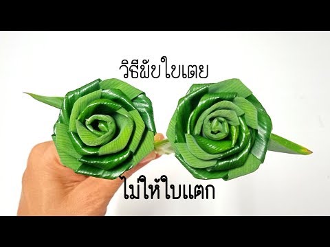 เทคนิคง่ายๆกับวิธีพับดอกกุหลาบใบเตยไม่ให้ใบเเตก #DIY flower from Panda  BY PPP CHANNEL